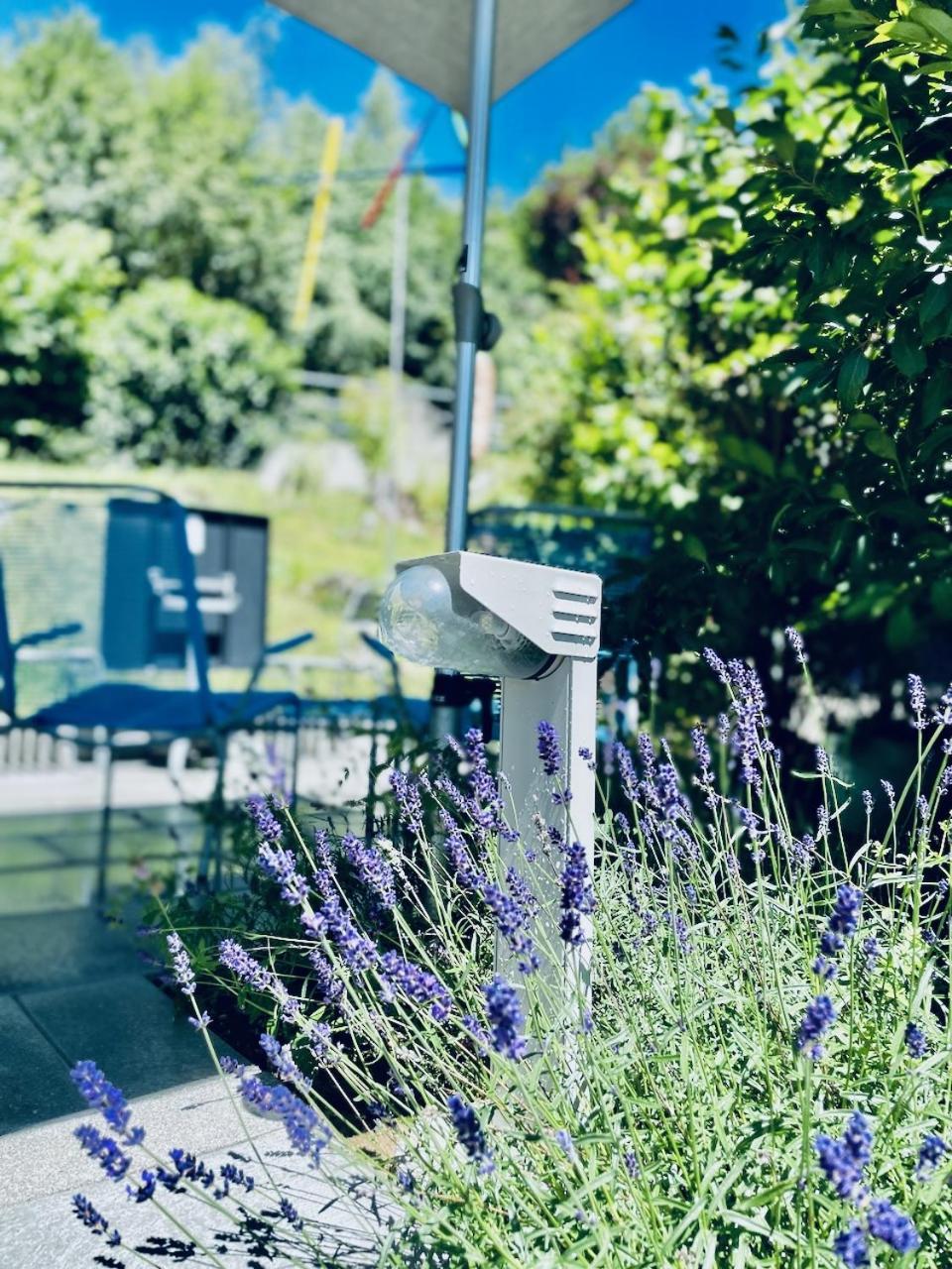 Bed Bike And Breakfast Olten Bagian luar foto