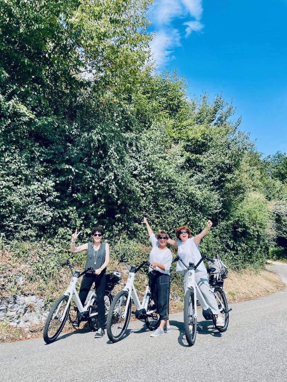 Bed Bike And Breakfast Olten Bagian luar foto